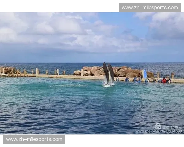 蓝色的狂想与加勒比的旋律：当乌拉圭遇见牙买加，绿茵场上的灵魂博弈